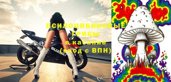 ГАЛЛЮЦИНОГЕННЫЕ ГРИБЫ Дмитриев