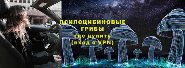 прущие грибы Лиски