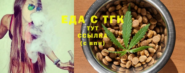 ГАЛЛЮЦИНОГЕННЫЕ ГРИБЫ Дмитриев