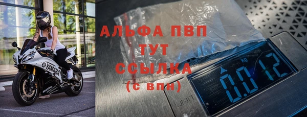 крисы Дмитров