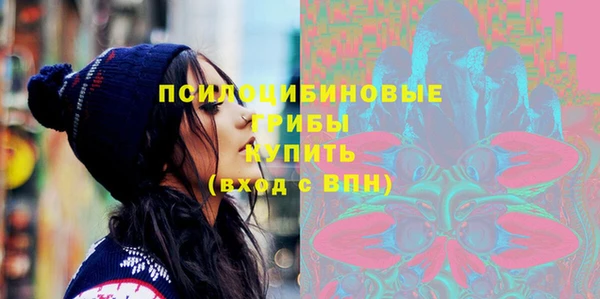 ГАЛЛЮЦИНОГЕННЫЕ ГРИБЫ Дмитриев